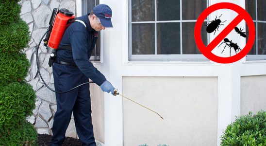 Egekent Gümüşkurt İlaçlama böcek ilaçlama ve haşere kontrolü — ilaclama-tr.com